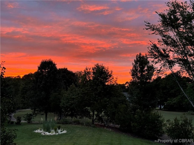 view of yard at dusk