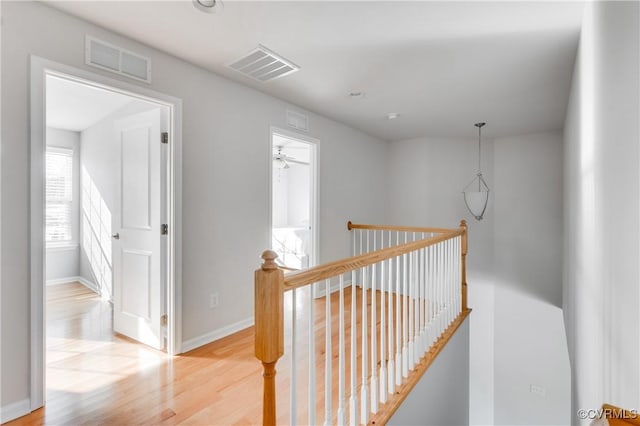 corridor featuring light hardwood / wood-style floors