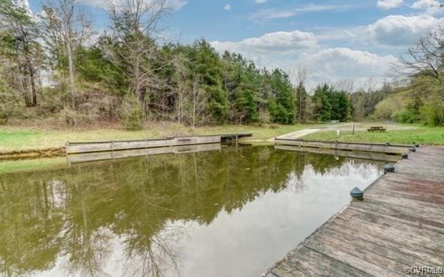 dock area with a water view