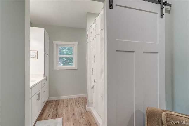 bathroom featuring hardwood / wood-style flooring, vanity, and a shower with curtain