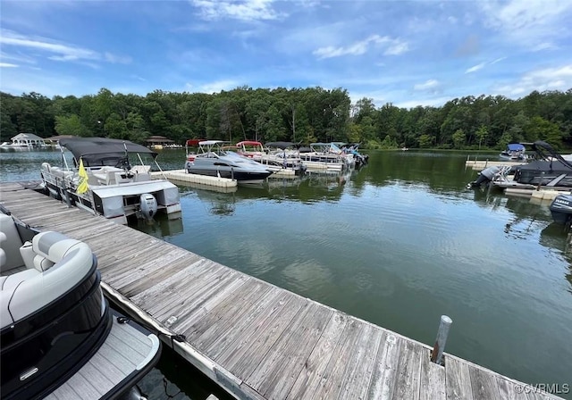 dock area with a water view