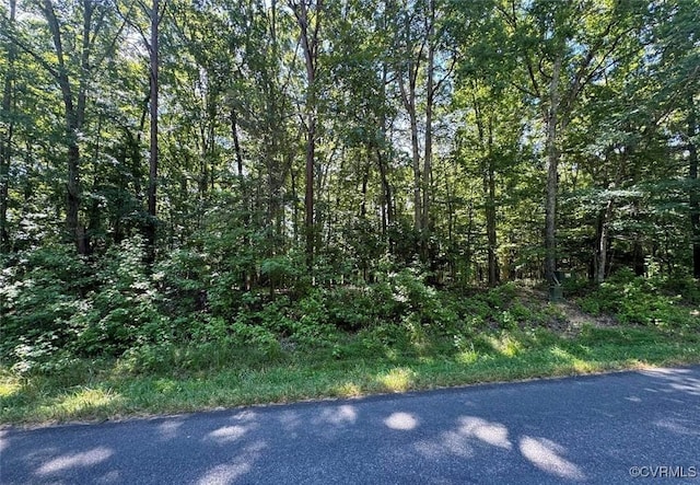 Listing photo 3 for LOT15 Moody Town Rd, Bumpass VA 23024