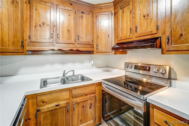 kitchen featuring sink, electric range, and dishwashing machine