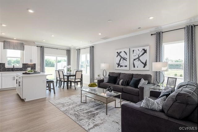 living room with light hardwood / wood-style flooring, ornamental molding, and sink