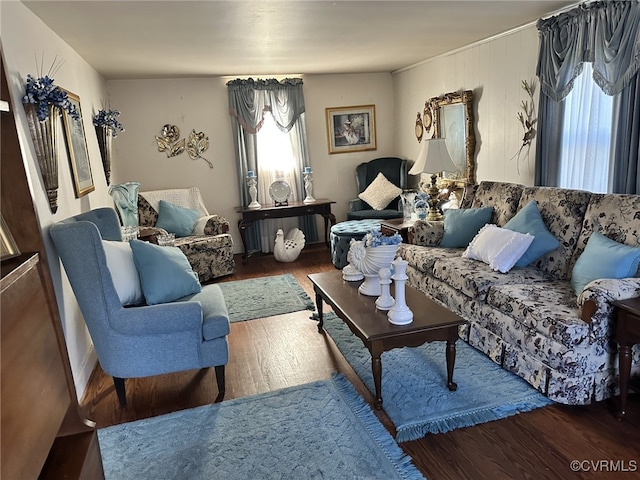 living room featuring hardwood / wood-style floors