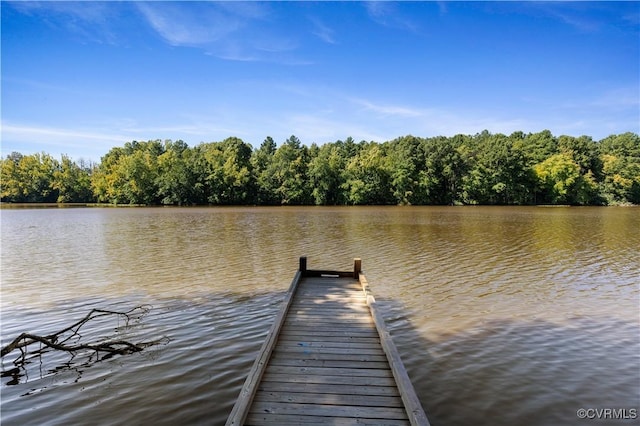 dock area with a water view