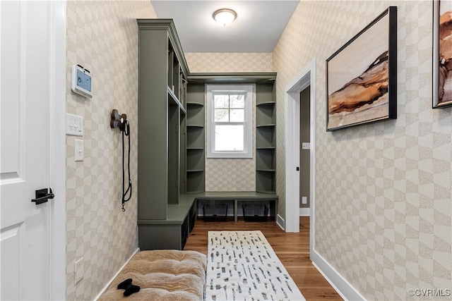 mudroom featuring dark hardwood / wood-style floors