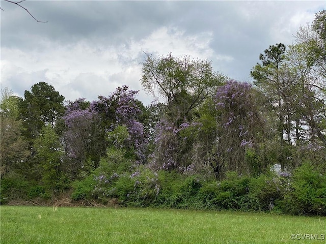 view of nature