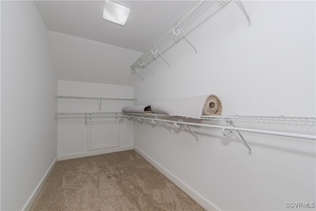 walk in closet featuring light carpet