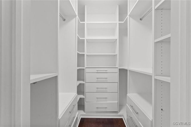 spacious closet with dark hardwood / wood-style floors