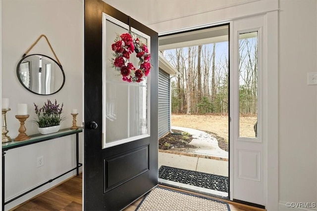 doorway to outside featuring a baseboard radiator and wood-type flooring