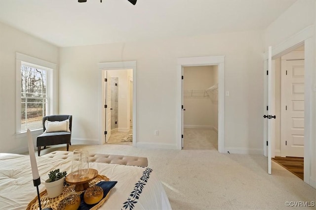 carpeted bedroom featuring ceiling fan, a spacious closet, and a closet