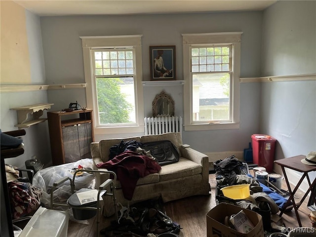 sitting room featuring radiator, hardwood / wood-style floors, and a wealth of natural light