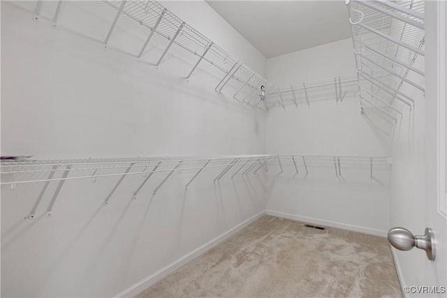 walk in closet with light colored carpet