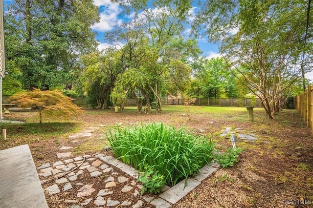 view of yard featuring a fenced backyard