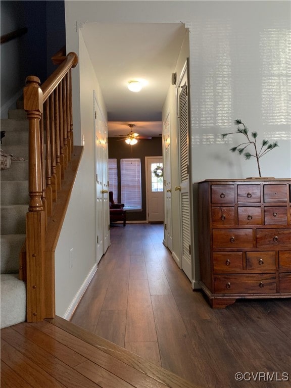 hall with dark wood-type flooring