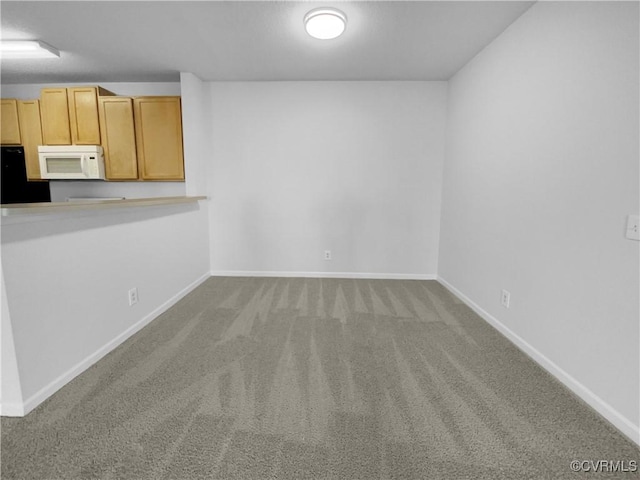 empty room featuring carpet floors