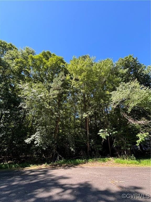 30 Athens Ln, Ruther Glen VA, 22546 land for sale