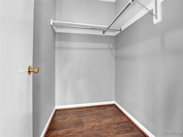 walk in closet with hardwood / wood-style floors