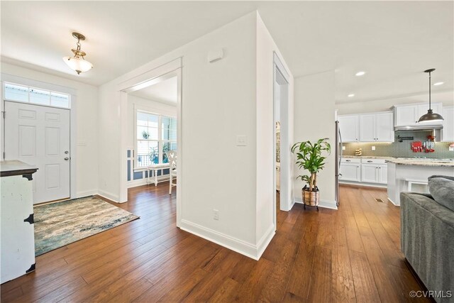 foyer with dark wood-type flooring