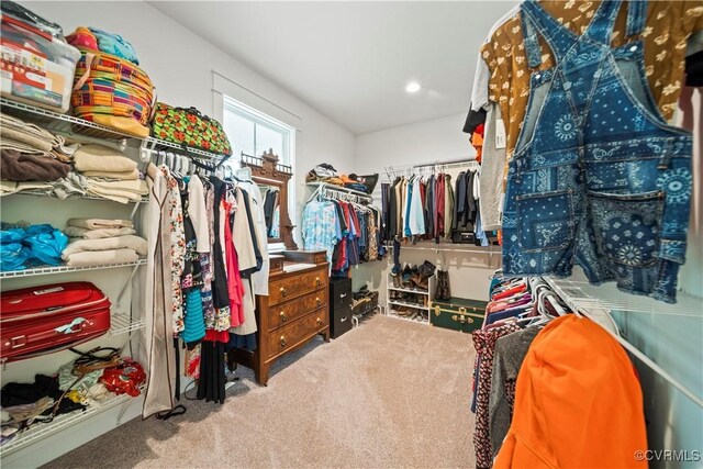 walk in closet with carpet floors