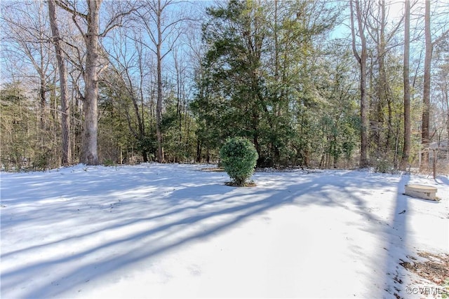 view of yard covered in snow