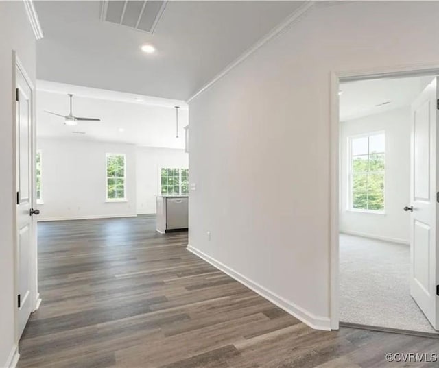 hall featuring dark wood-type flooring and crown molding