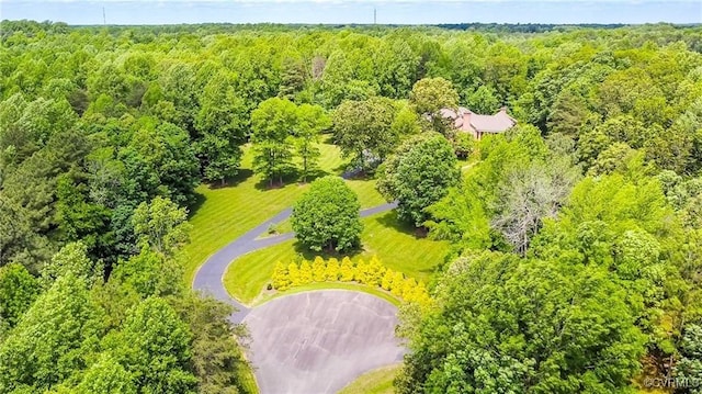 16460 W Crescent Ln, Hanover, VA 23192 - aerial view of a forest