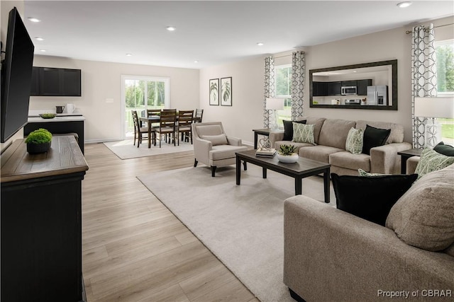 living room with light hardwood / wood-style flooring