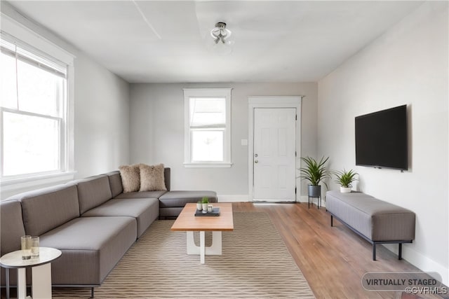 living room featuring a healthy amount of sunlight and light wood-type flooring