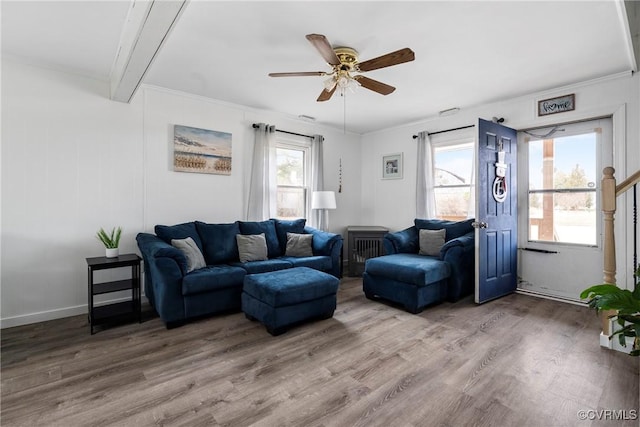 living room with ornamental molding, ceiling fan, and hardwood / wood-style floors