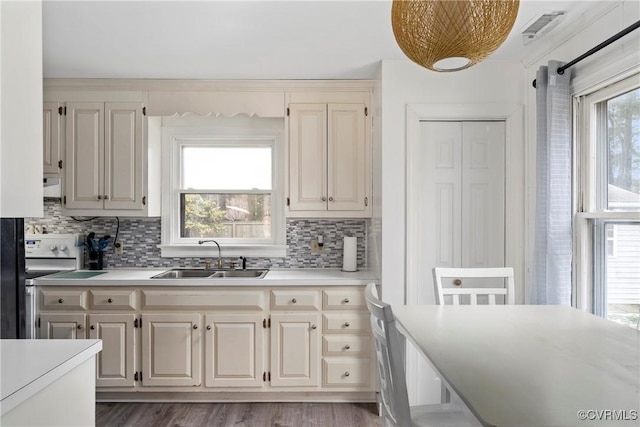 kitchen featuring sink, a healthy amount of sunlight, and decorative backsplash