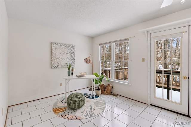 entryway featuring a wealth of natural light and a textured ceiling