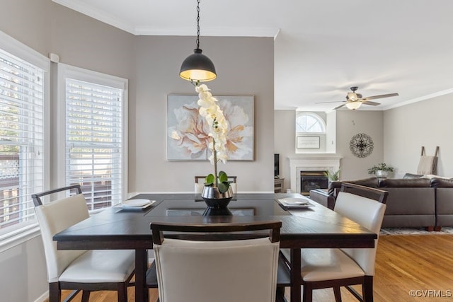 dining space with ceiling fan, hardwood / wood-style flooring, and ornamental molding