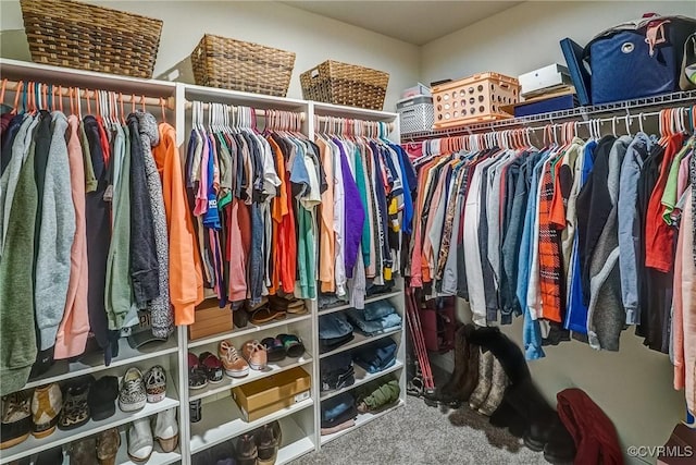 walk in closet featuring carpet