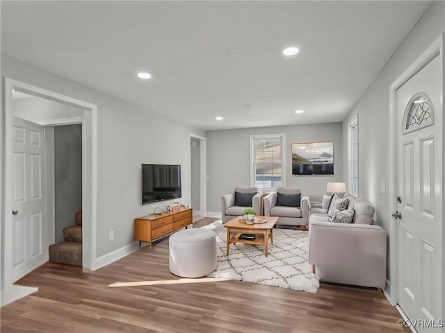 living room with wood-type flooring