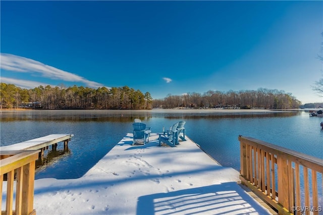 dock area with a water view