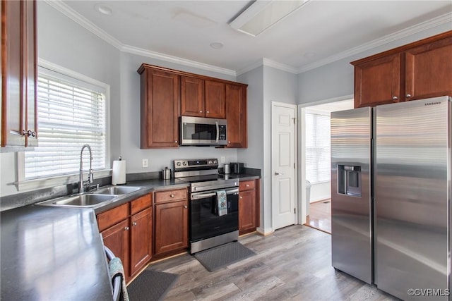 kitchen with stainless steel appliances, light hardwood / wood-style floors, sink, and a healthy amount of sunlight