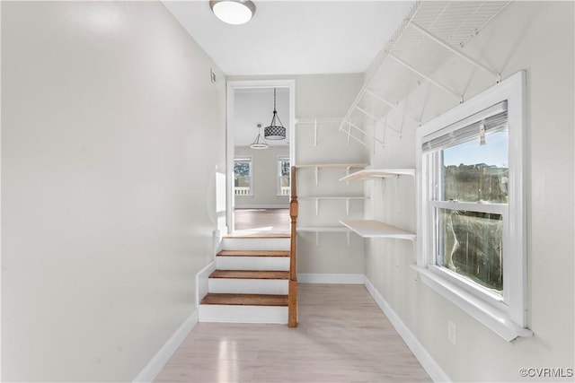 stairs with wood-type flooring and a wealth of natural light