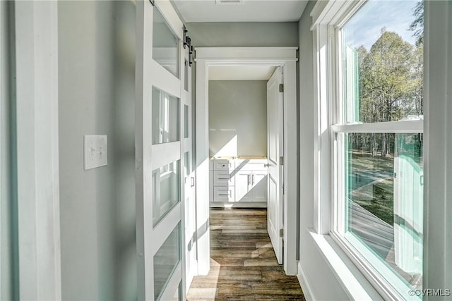 hallway with dark hardwood / wood-style flooring and a barn door