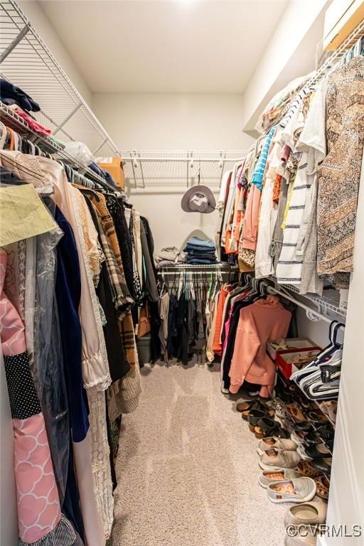 walk in closet featuring carpet flooring