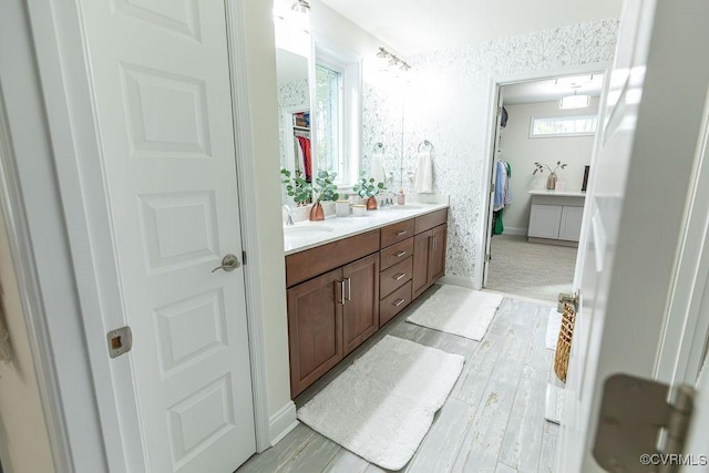 bathroom with vanity and hardwood / wood-style flooring