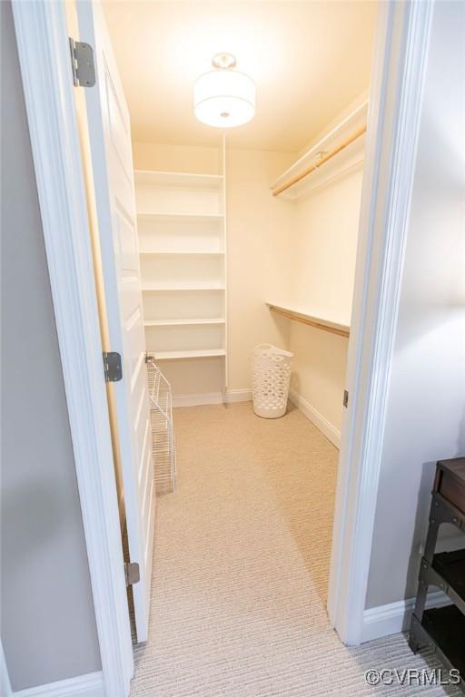 spacious closet with light colored carpet