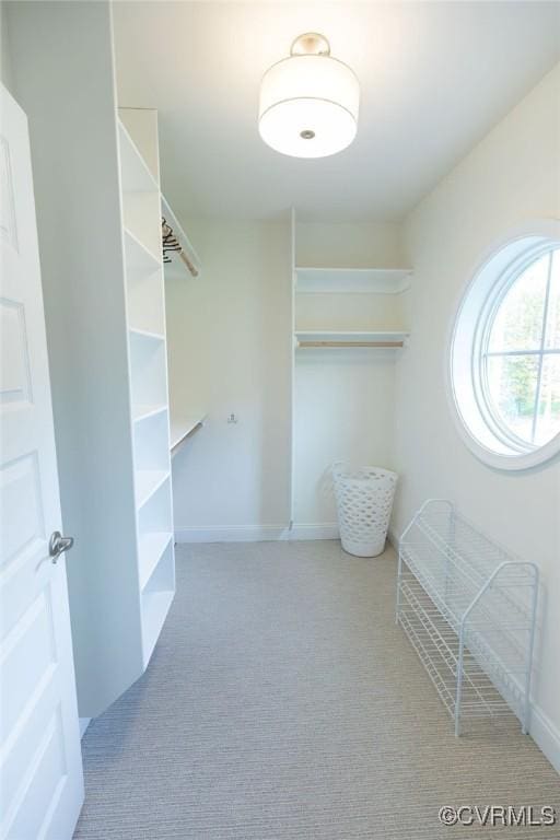 walk in closet featuring carpet floors