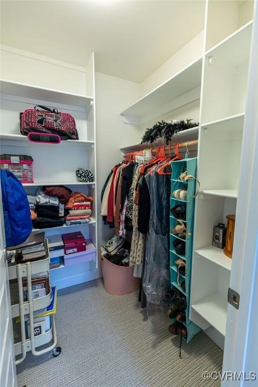 spacious closet with carpet floors