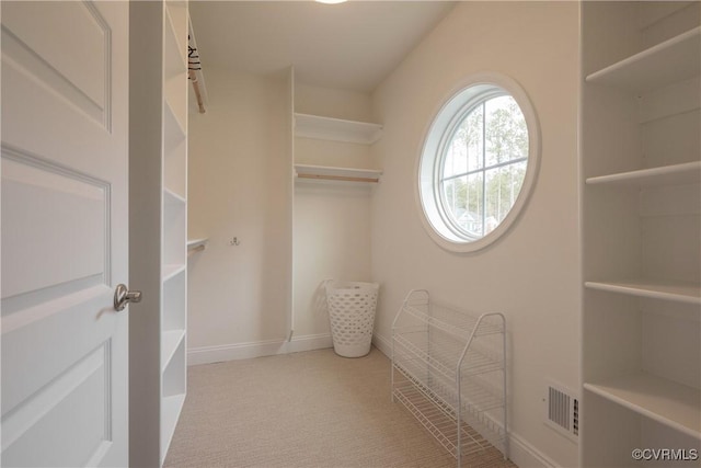 spacious closet with light colored carpet