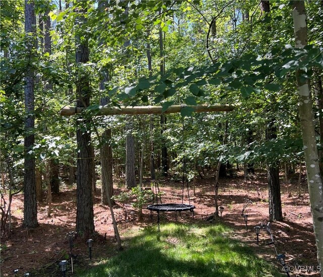 12618 Capernwray Ter, Chesterfield, VA 23838 - view of nature