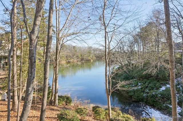 view of water feature