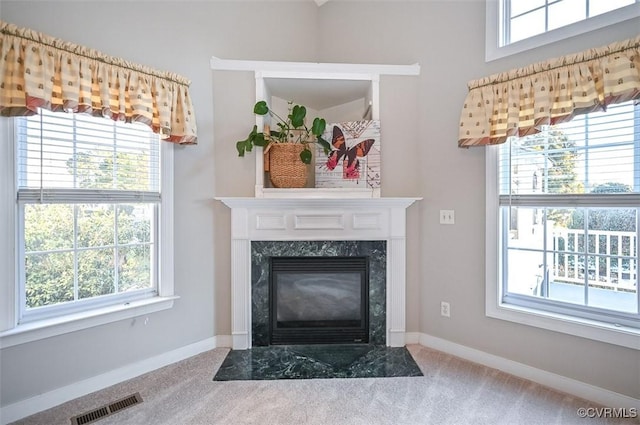 room details with a fireplace and carpet