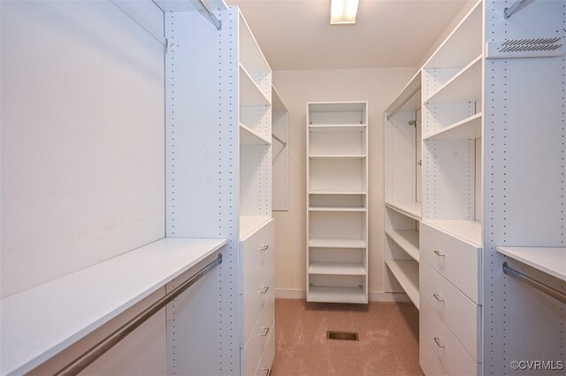 spacious closet featuring light colored carpet